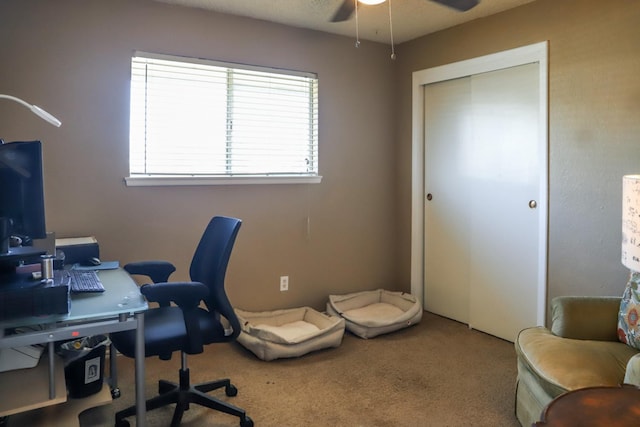 4853 N Winery Cir Unit 117, Fresno, CA 93726 - photo 19