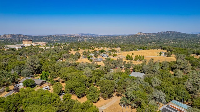 47165 Modoc Rd, Coarsegold, CA 93614 - photo 45