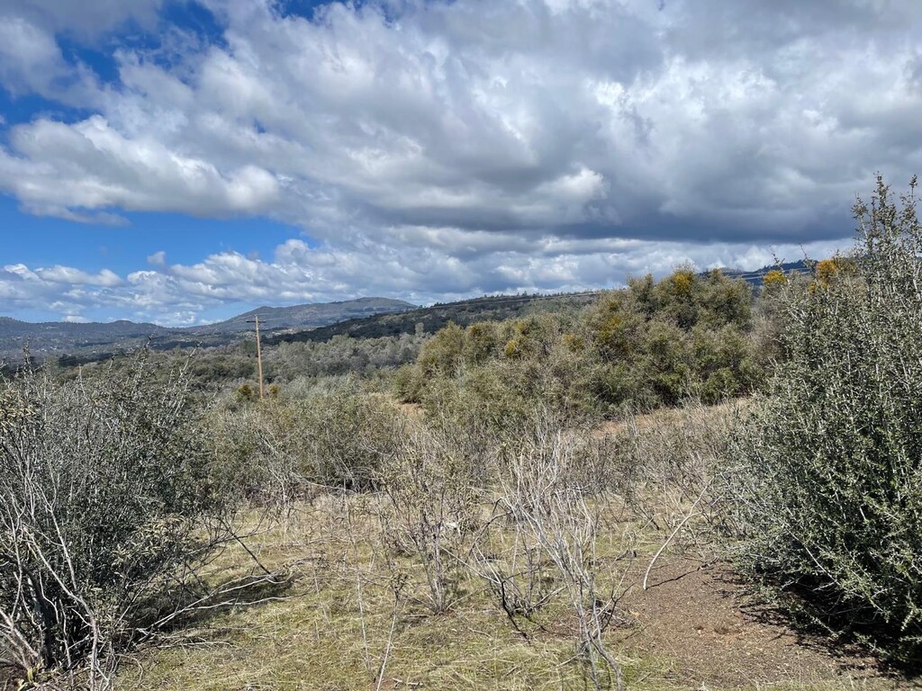 35 Miami Highlands, Oakhurst, CA 93644 - photo 2