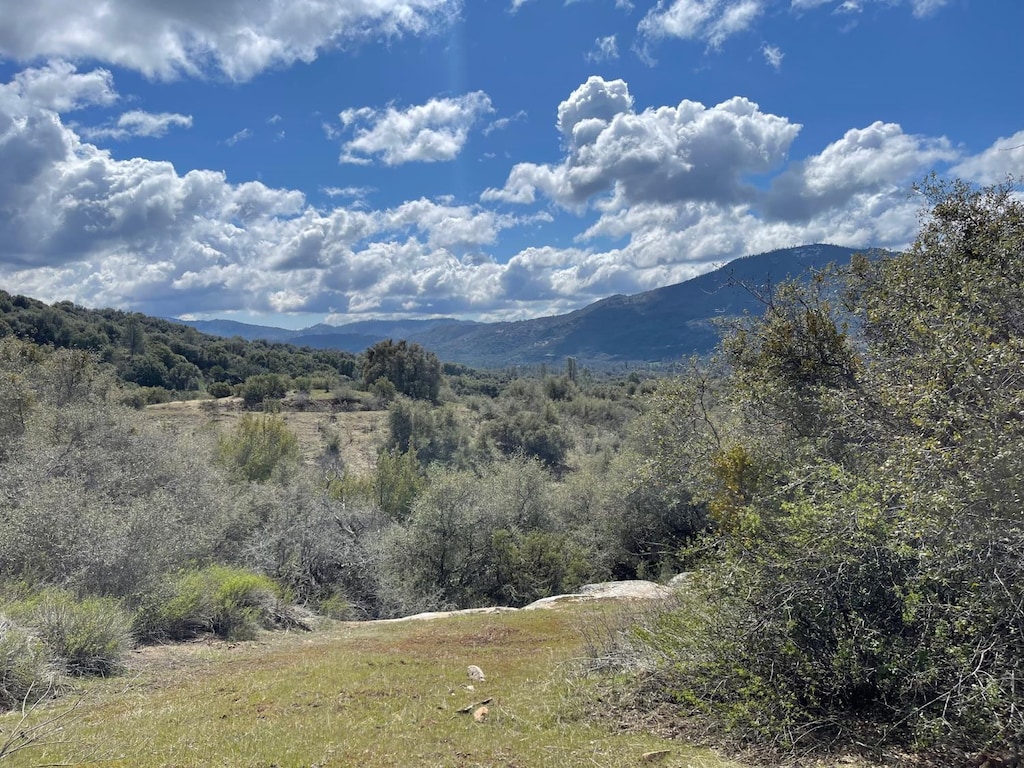 35 Miami Highlands, Oakhurst, CA 93644 - photo 1