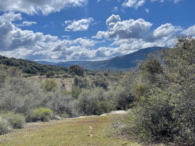 35 Miami Highlands, Oakhurst, CA 93644 - photo 1