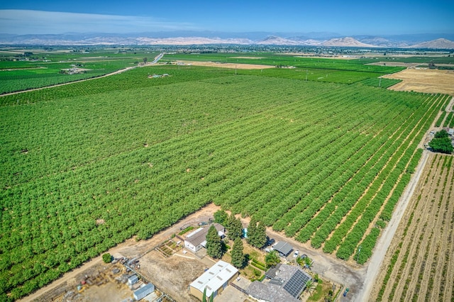 3590 S Mccall Ave, Sanger, CA 93657 - photo 57