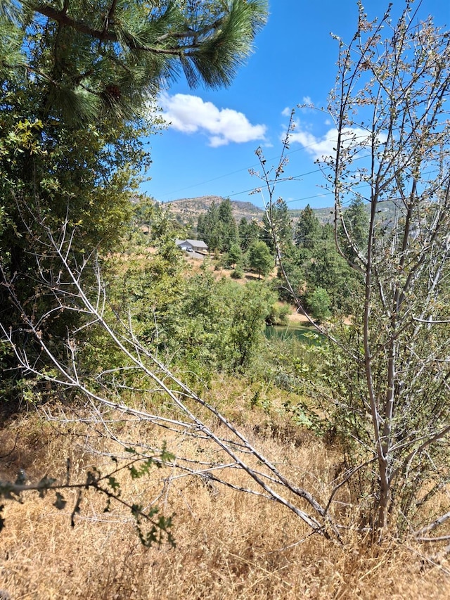 33892 Shaver Springs Rd, Auberry, CA 93602 - photo 2
