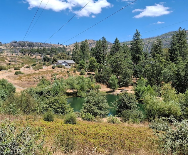33892 Shaver Springs Rd, Auberry, CA 93602 - photo 1