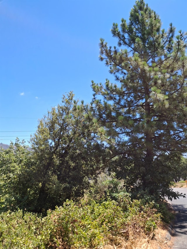 33892 Shaver Springs Rd, Auberry, CA 93602 - photo 4