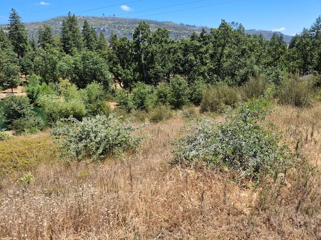 33892 Shaver Springs Rd, Auberry, CA 93602 - photo 3