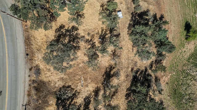 28595 Sky Harbour Rd, Friant, CA 93626 - photo 3