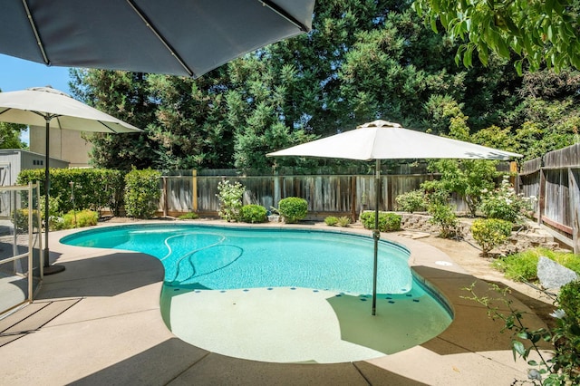 3722 W Mesa Ave, Fresno, CA 93711 - photo 21