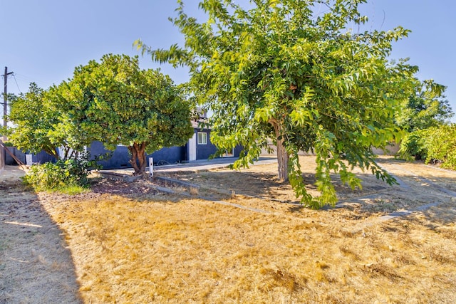 3668 N 7th St, Fresno, CA 93726 - photo 24