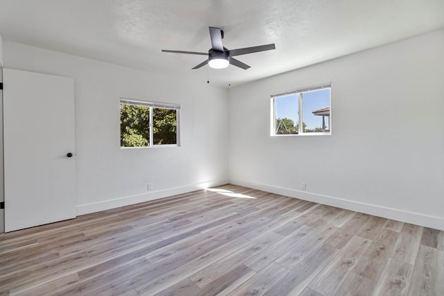 3668 N 7th St, Fresno, CA 93726 - photo 19