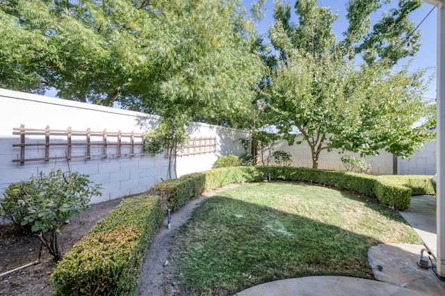 18 W Lester Ave, Clovis, CA 93619 - photo 33