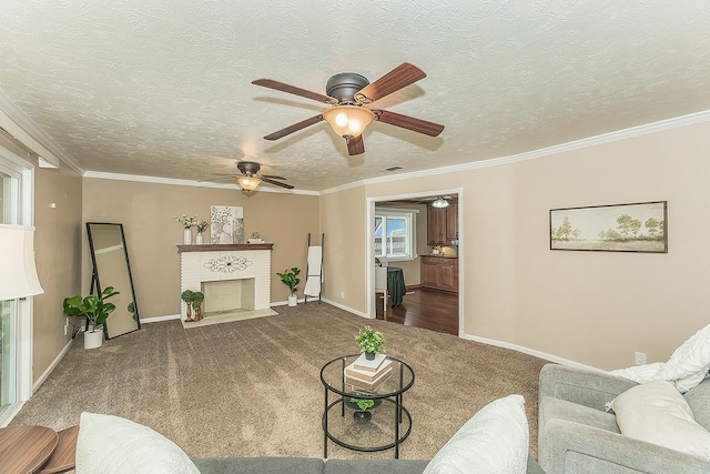 4445 E Indianapolis Ave, Fresno, CA 93726 - photo 4