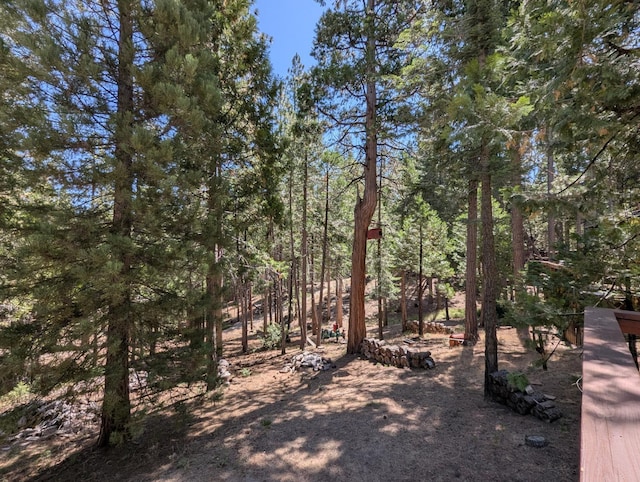 65066 Stellar Jay Ln, Sierra, CA 93628 - photo 20
