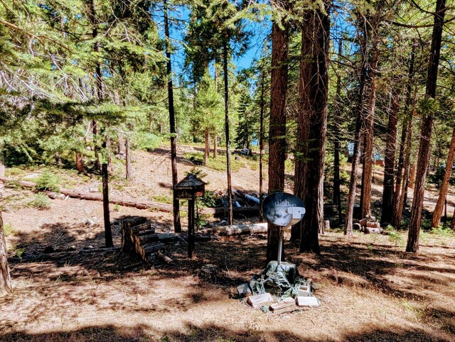 65066 Stellar Jay Ln, Sierra, CA 93628 - photo 28