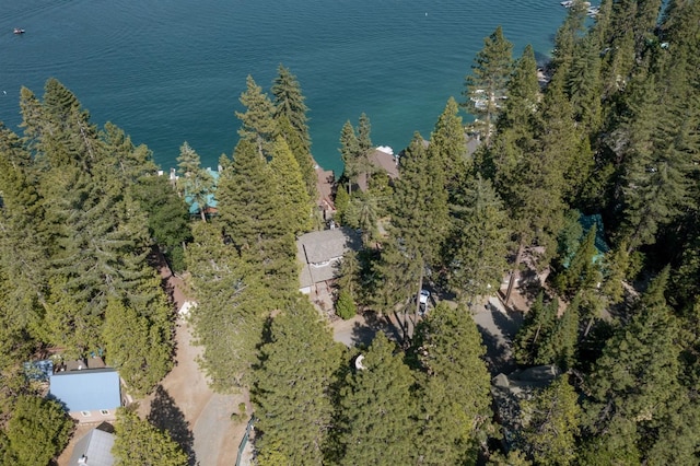 44455 Hillcrest Ave, Shaver Lake, CA 93664 - photo 41