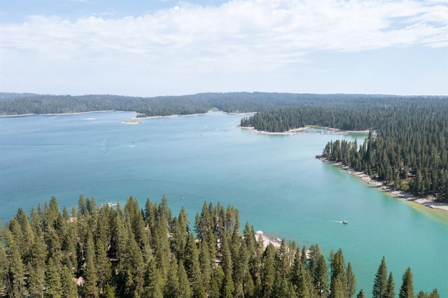 44455 Hillcrest Ave, Shaver Lake, CA 93664 - photo 44