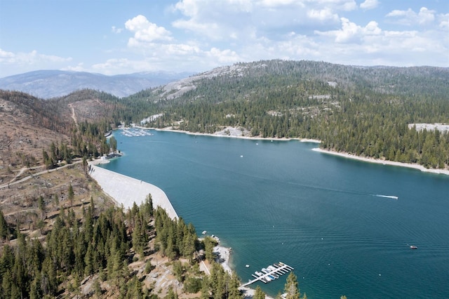44455 Hillcrest Ave, Shaver Lake, CA 93664 - photo 43