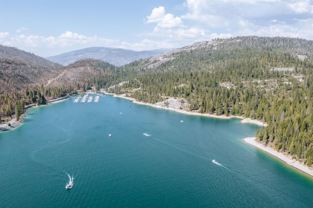 44455 Hillcrest Ave, Shaver Lake, CA 93664 - photo 48