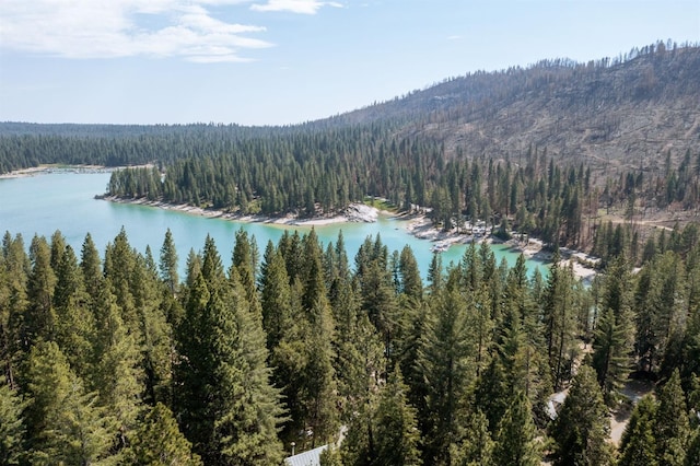 44455 Hillcrest Ave, Shaver Lake, CA 93664 - photo 40