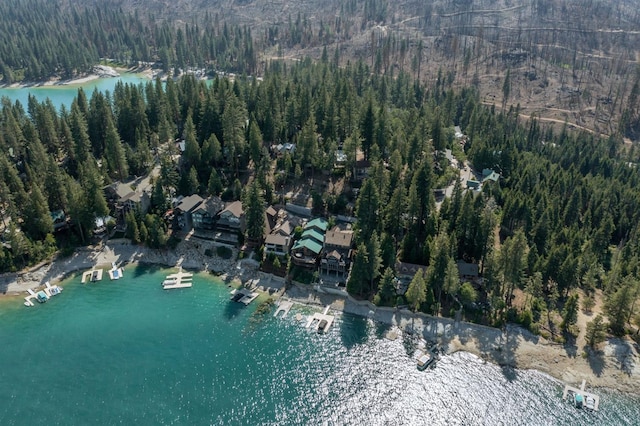 44455 Hillcrest Ave, Shaver Lake, CA 93664 - photo 46