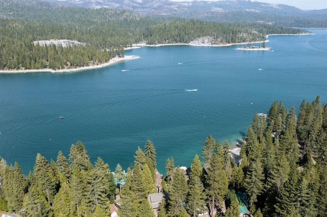 44455 Hillcrest Ave, Shaver Lake, CA 93664 - photo 42
