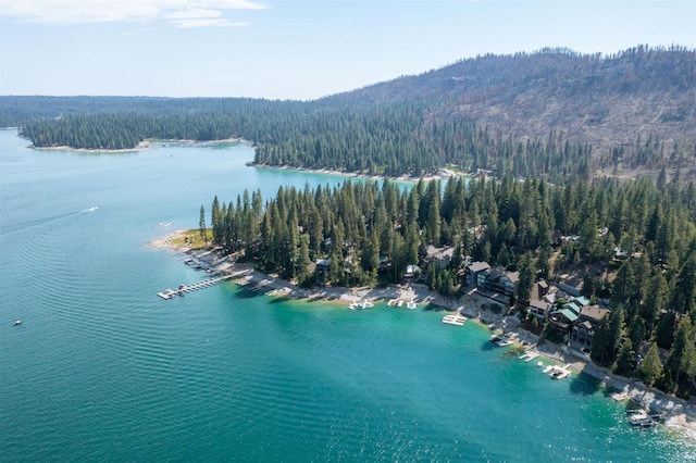 44455 Hillcrest Ave, Shaver Lake, CA 93664 - photo 47