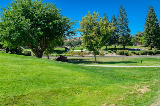 17317 Parkcliffe Ln, Friant, CA 93626 - photo 39