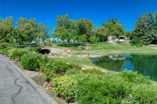 17317 Parkcliffe Ln, Friant, CA 93626 - photo 38