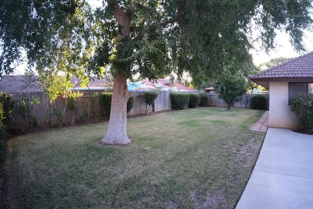 2355 San Jose Ave, Clovis, CA 93611 - photo 12