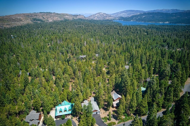 41771 Granite Ridge Rd, Shaver Lake, CA 93664 - photo 8