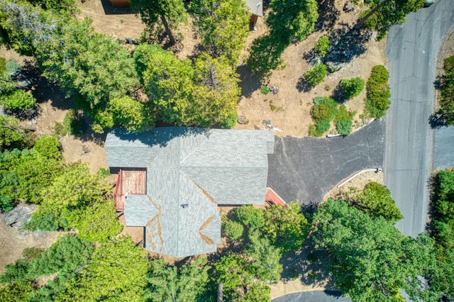 41771 Granite Ridge Rd, Shaver Lake, CA 93664 - photo 9