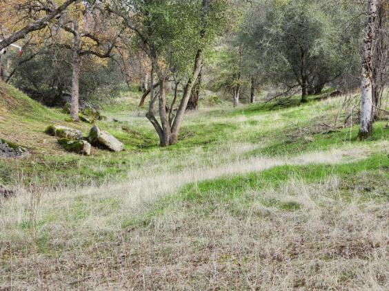 0 Deep Forest Dr, Coarsegold, CA 93614 - photo 3