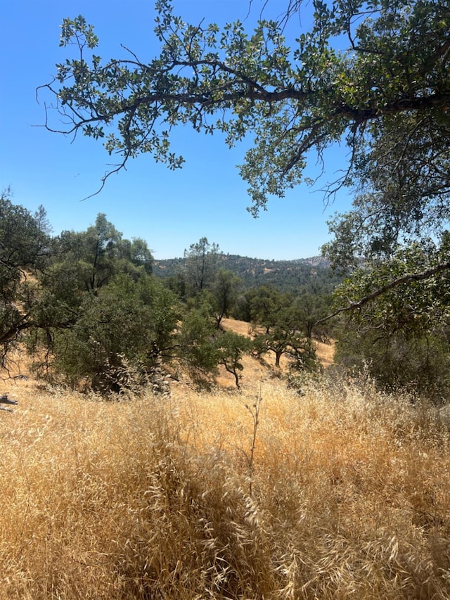 0 Deep Forest Dr, Coarsegold, CA 93614 - photo 8