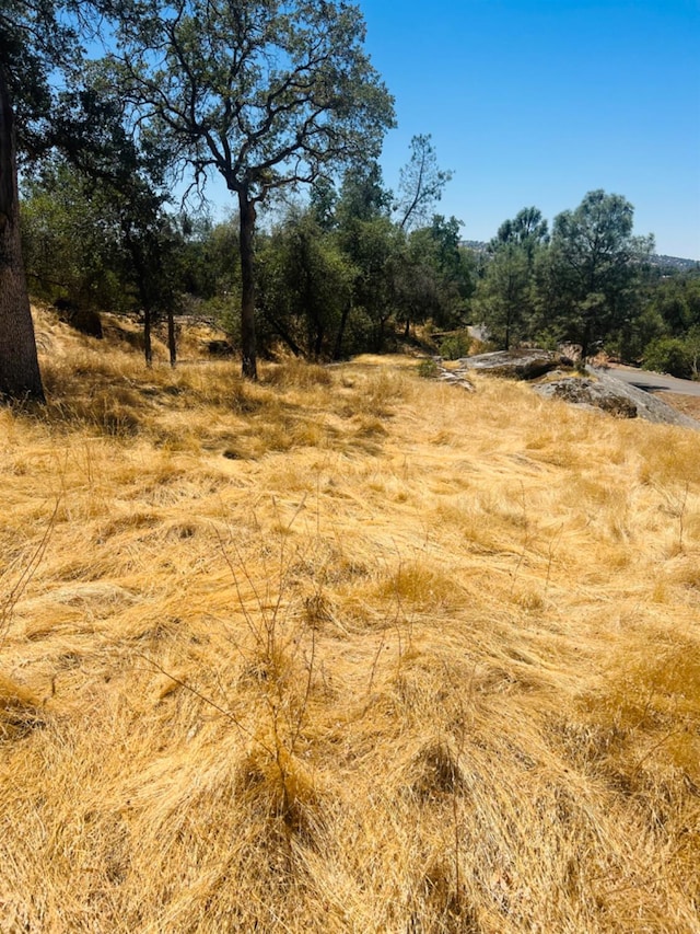 0 Deep Forest Dr, Coarsegold, CA 93614 - photo 10