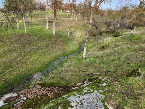 0 Deep Forest Dr, Coarsegold, CA 93614 - photo 4