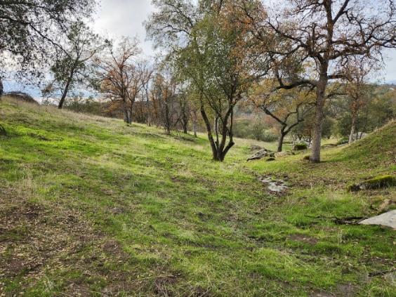 0 Deep Forest Dr, Coarsegold, CA 93614 - photo 6