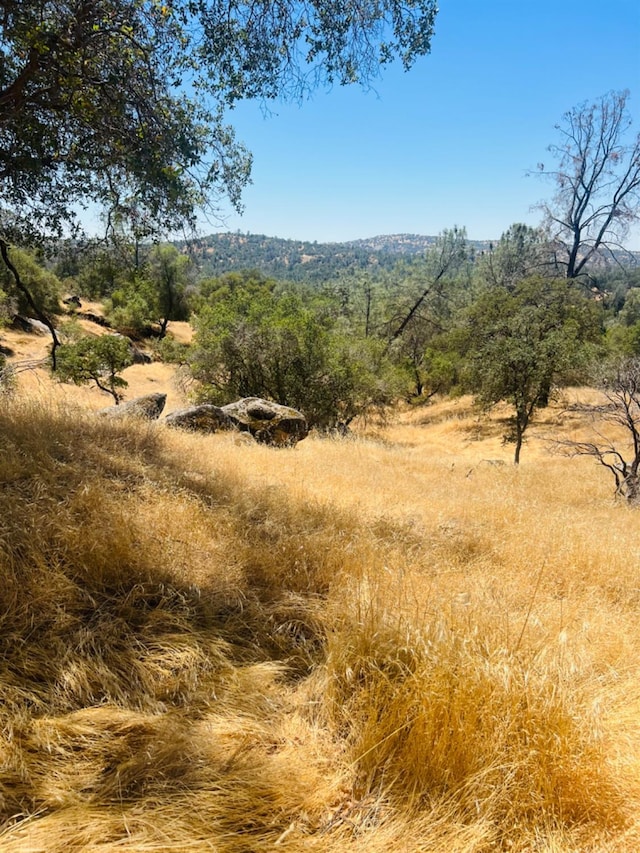 0 Deep Forest Dr, Coarsegold, CA 93614 - photo 1