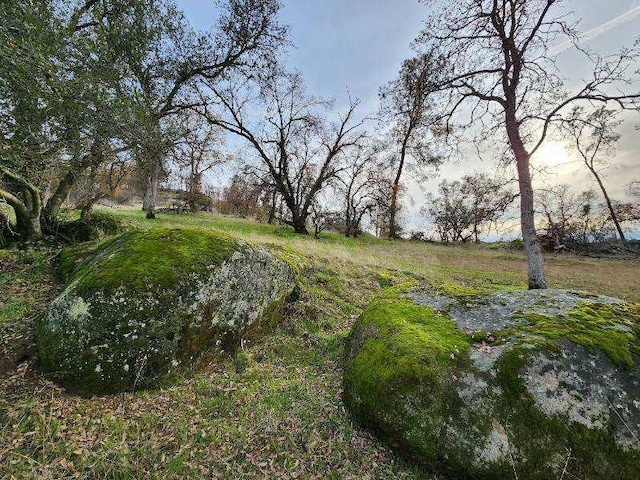 0 Deep Forest Dr, Coarsegold, CA 93614 - photo 5