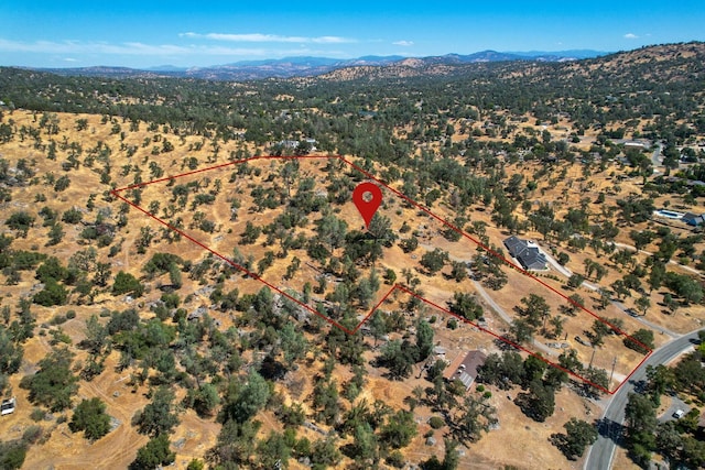 42893 Long Hollow Dr, Coarsegold, CA 93614 - photo 28