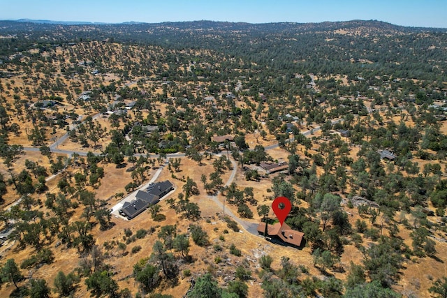 42893 Long Hollow Dr, Coarsegold, CA 93614 - photo 31