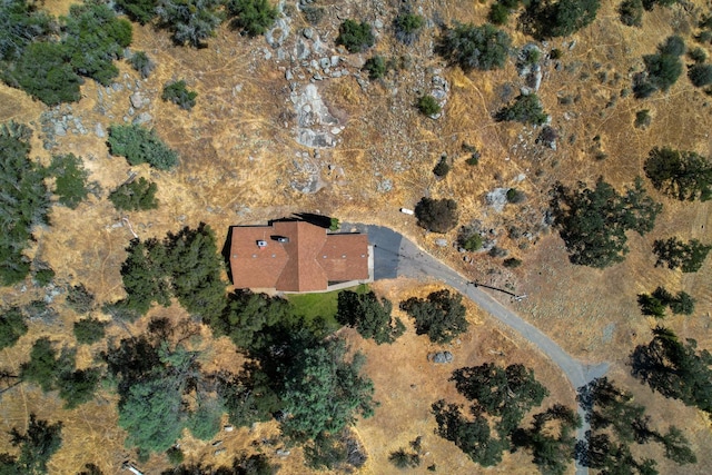 42893 Long Hollow Dr, Coarsegold, CA 93614 - photo 29