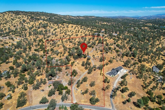 42893 Long Hollow Dr, Coarsegold, CA 93614 - photo 27