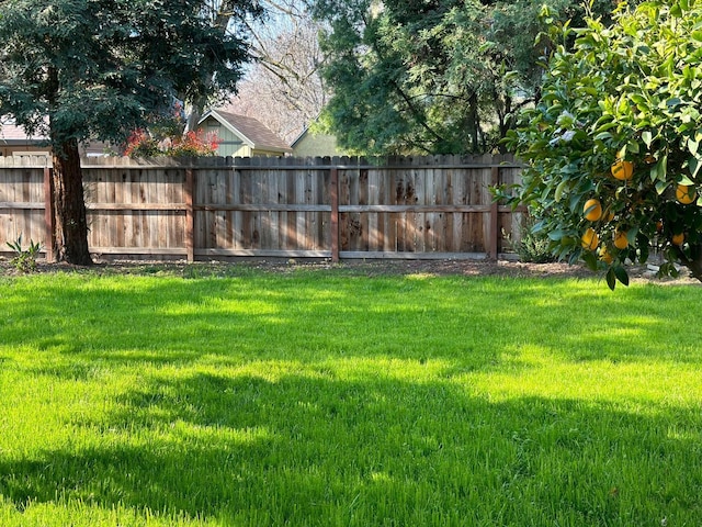 1242 Douglas Ave, Clovis, CA 93611 - photo 18