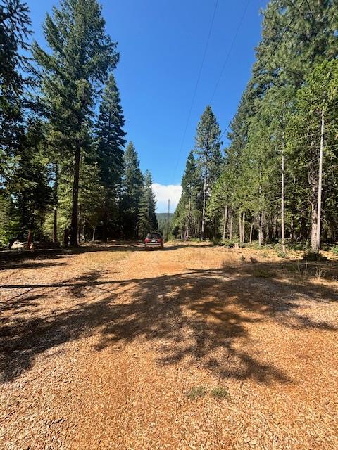 2051 Ridge Rd, West Sierra, CA 95960 - photo 31