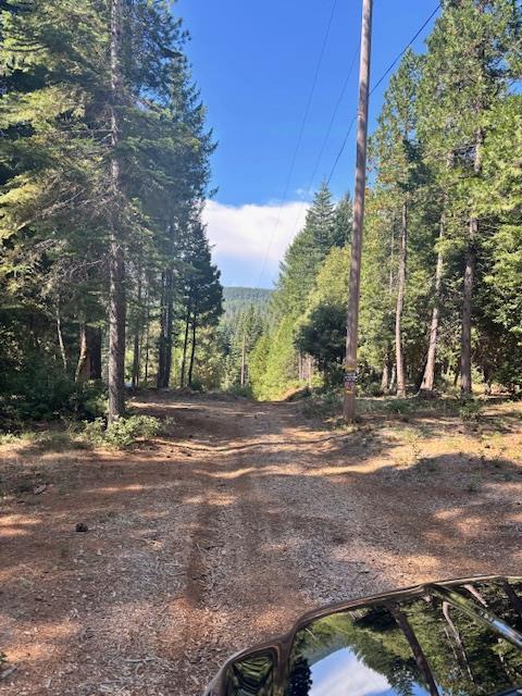 2051 Ridge Rd, West Sierra, CA 95960 - photo 30