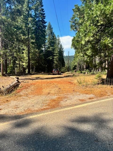2051 Ridge Rd, West Sierra, CA 95960 - photo 32
