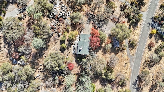 43299 Ranger Circle Dr, Coarsegold, CA 93614 - photo 44