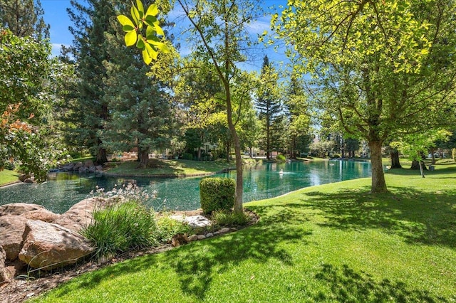 1783 Stonebrook Ln E, Clovis, CA 93611 - photo 83