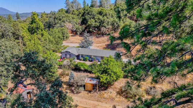 33301 Rd 233, North Fork, CA 93643 - photo 53