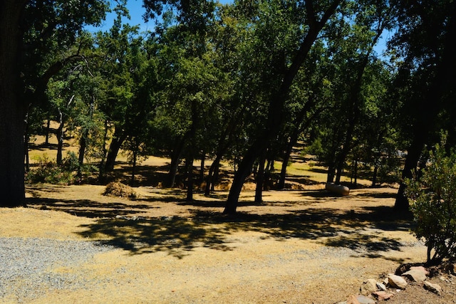34811 Wintergreen Loop, North Fork, CA 93643 - photo 57
